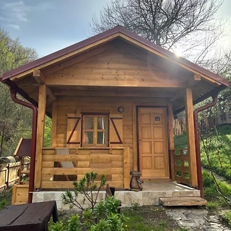 Brvnara Novicic * Vrnjačka Banja