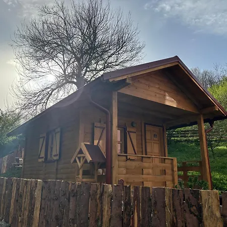 Brvnara Novicic Appartement