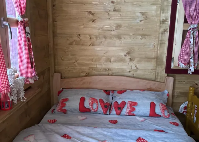 Brvnara Novicic Apartman