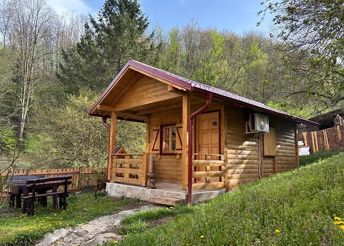 Brvnara Novicic Apartman Vrnjačka Banja