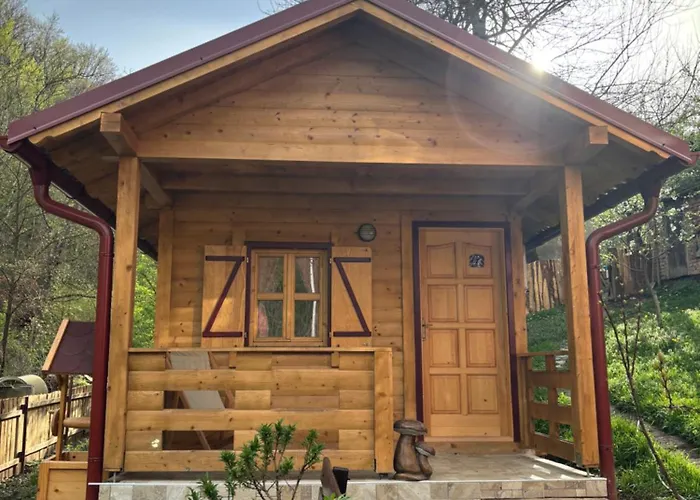 Brvnara Novicic * Vrnjačka Banja