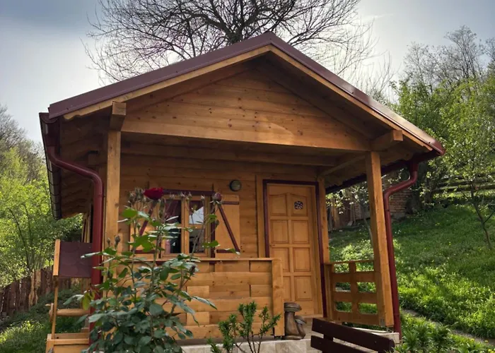 Apartman Brvnara Novicic *